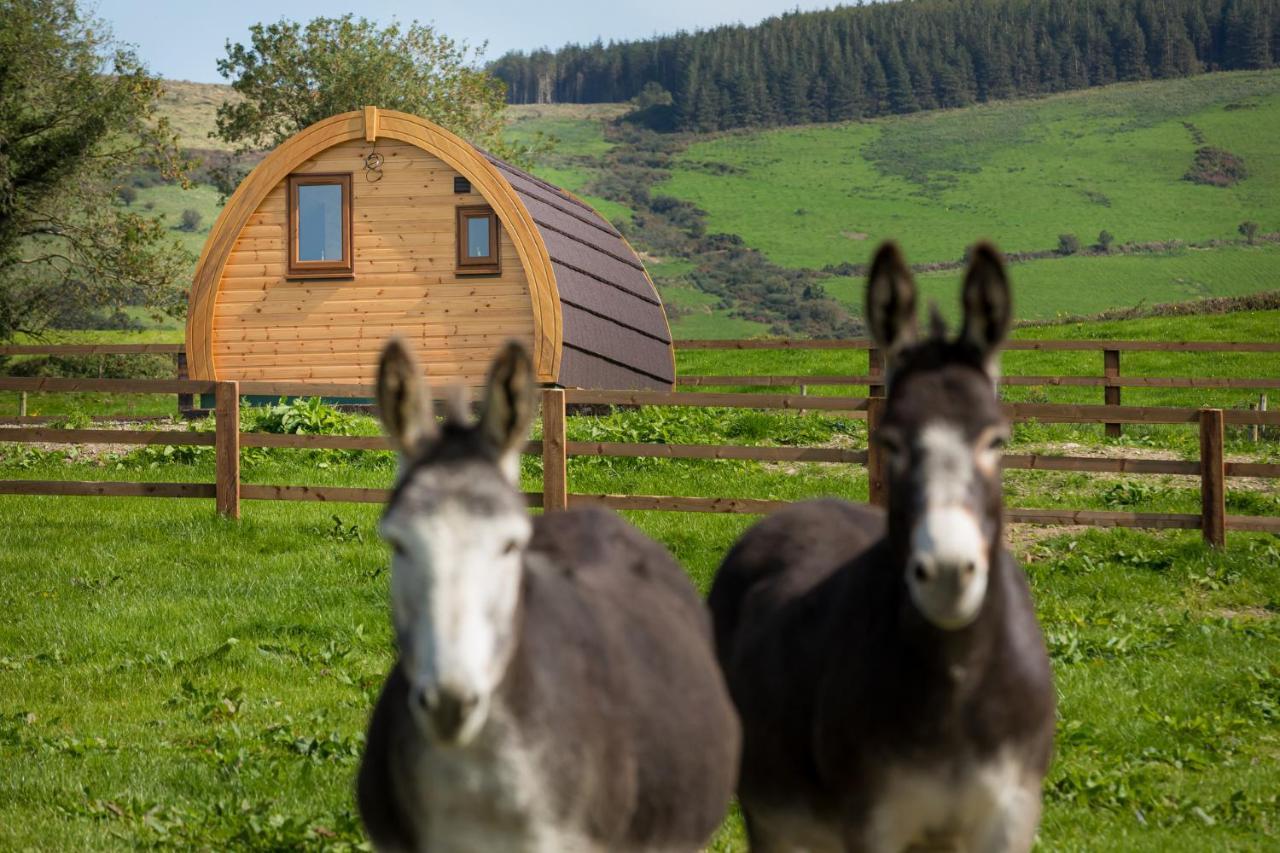 Luxury Two-Bed Glamping Pod In County Clare 2 Willa Kilbane Zewnętrze zdjęcie