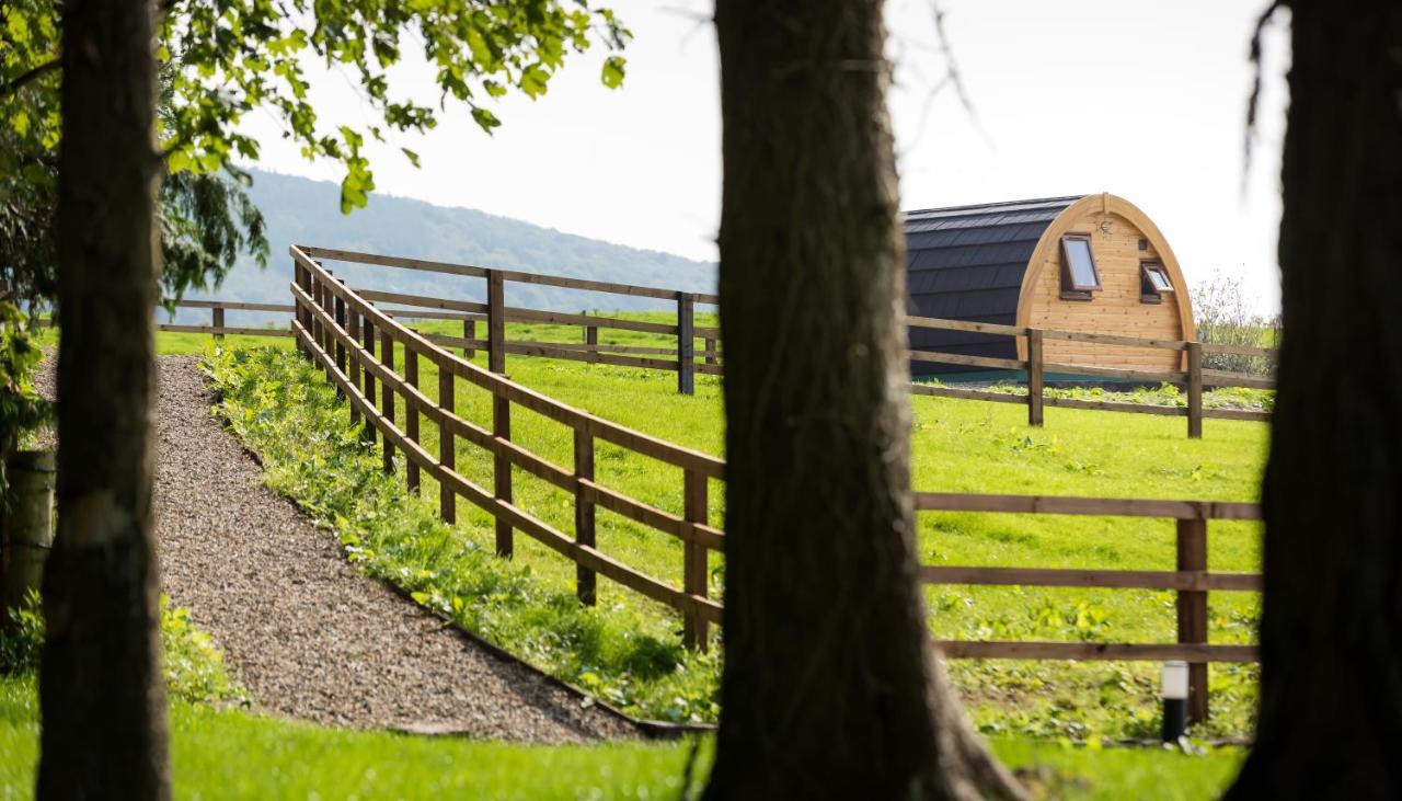 Luxury Two-Bed Glamping Pod In County Clare 2 Willa Kilbane Zewnętrze zdjęcie