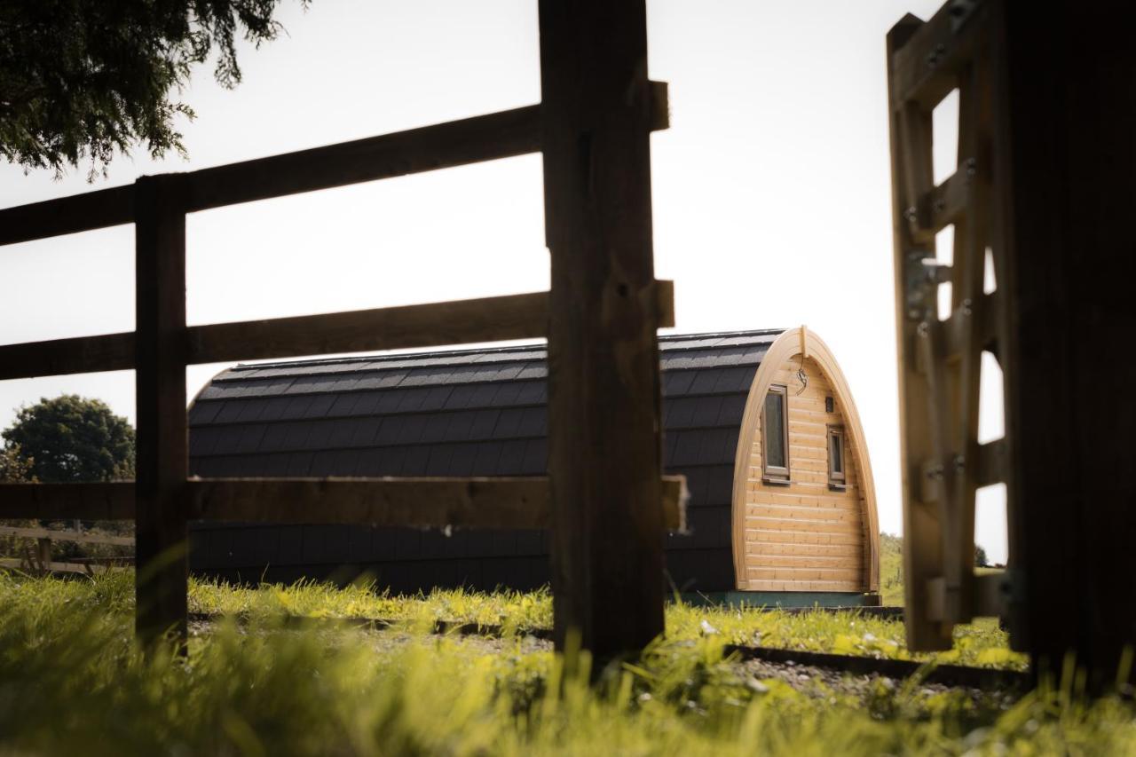 Luxury Two-Bed Glamping Pod In County Clare 2 Willa Kilbane Zewnętrze zdjęcie