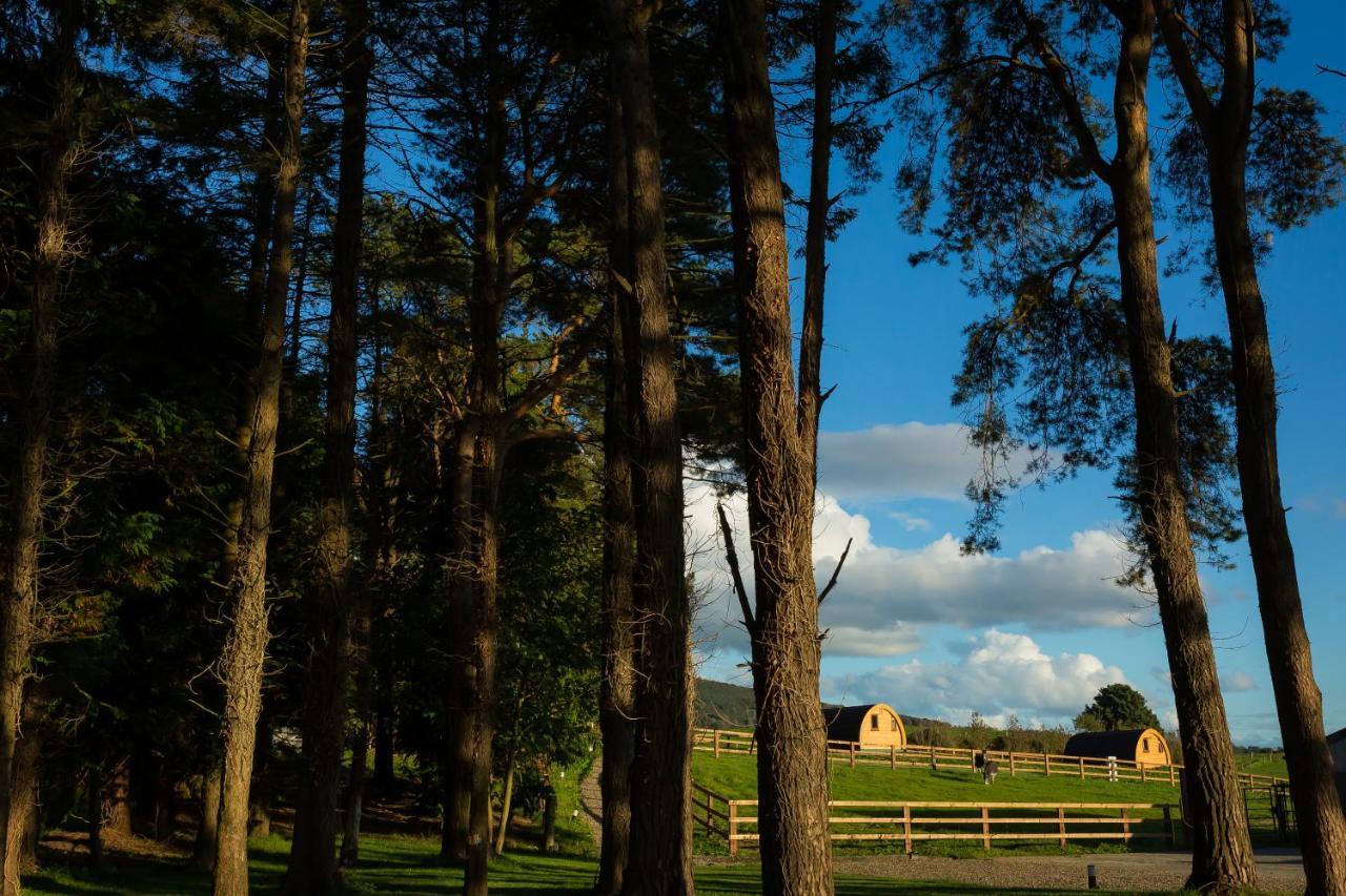 Luxury Two-Bed Glamping Pod In County Clare 2 Willa Kilbane Zewnętrze zdjęcie